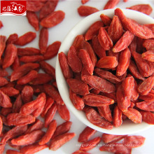 Wholesale bayas orgánicas goji